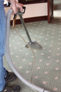 carpet cleaner hose extracting water from the carpet