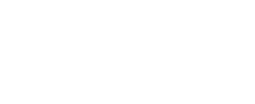 Cleaning Technique Logo